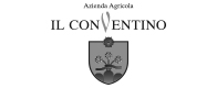 Il Conventino